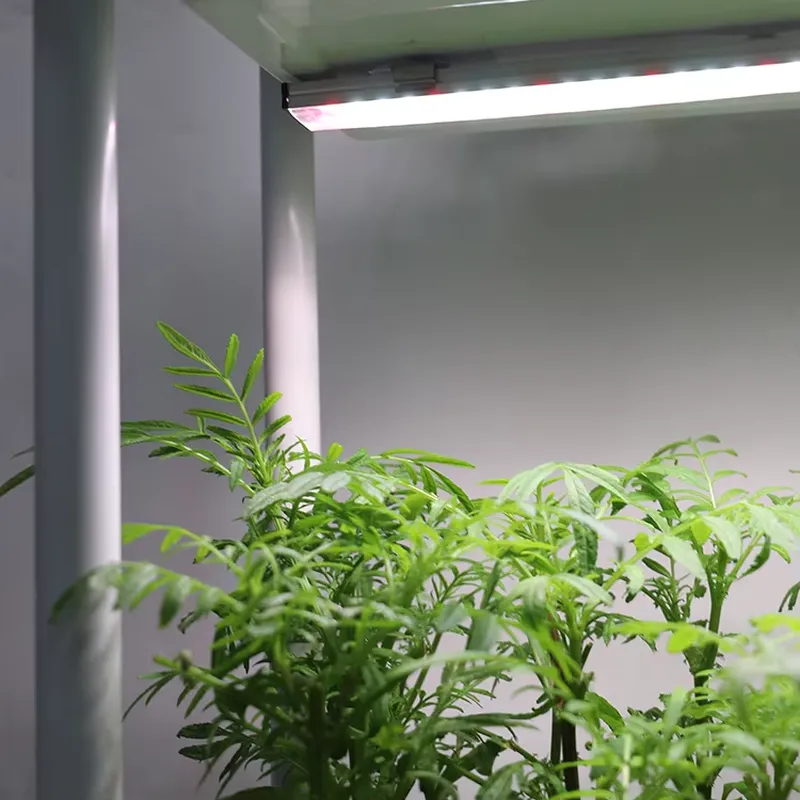 Self Watering Planter - 이동식 수직형 3단 자동 급수 스마트