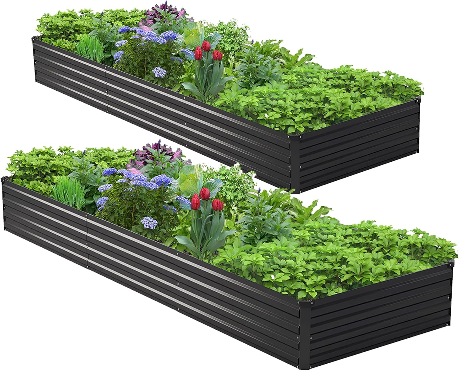 Raised Garden Bed - 2개 세트 10x3x1피트 아연 도금된 높이형