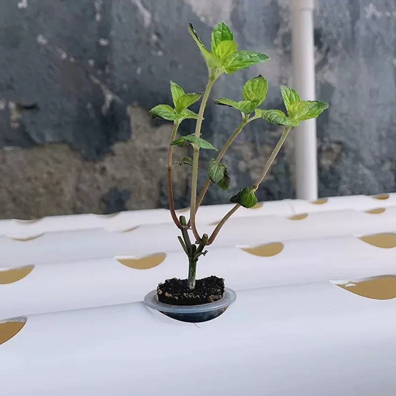 Hydroponic Kit - 무토양 재배 시스템 키트, PVC 파이프를