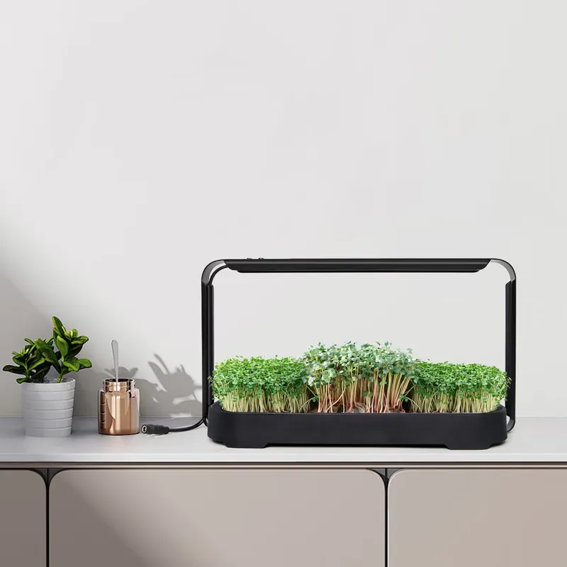 마이크로그린 자동 급수 수경재배 시스템(재배등 포함)  - Hydroponic Kit 리뷰 및 가격