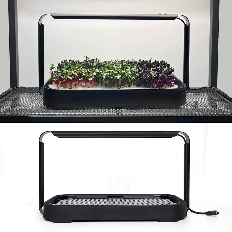 마이크로그린 자동 급수 수경재배 시스템(재배등 포함)  - Hydroponic Kit 리뷰 및 가격
