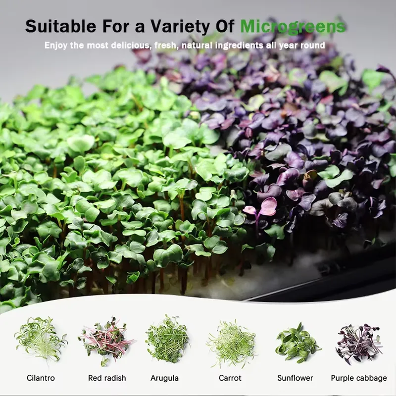 마이크로그린 자동 급수 수경재배 시스템(재배등 포함)  - Hydroponic Kit 리뷰 및 가격
