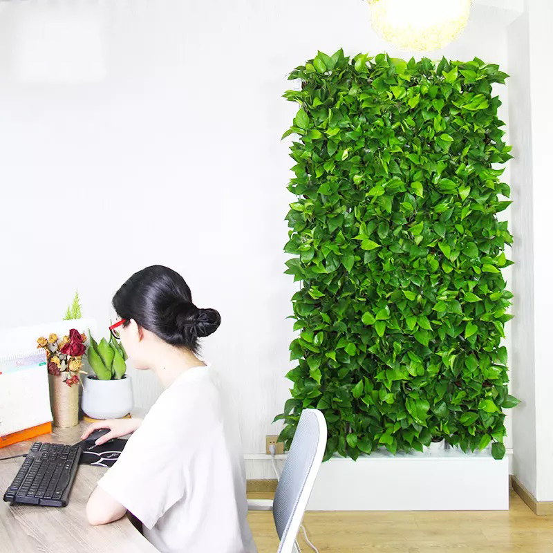 수경재배 실내 키트 2제곱미터 벽걸이형 수경재배 시스템 - Hydroponic Kit 리뷰 및 가격
