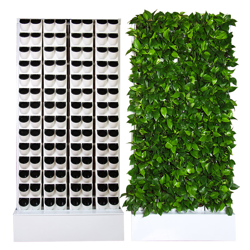 수경재배 실내 키트 2제곱미터 벽걸이형 수경재배 시스템 - Hydroponic Kit 리뷰 및 가격