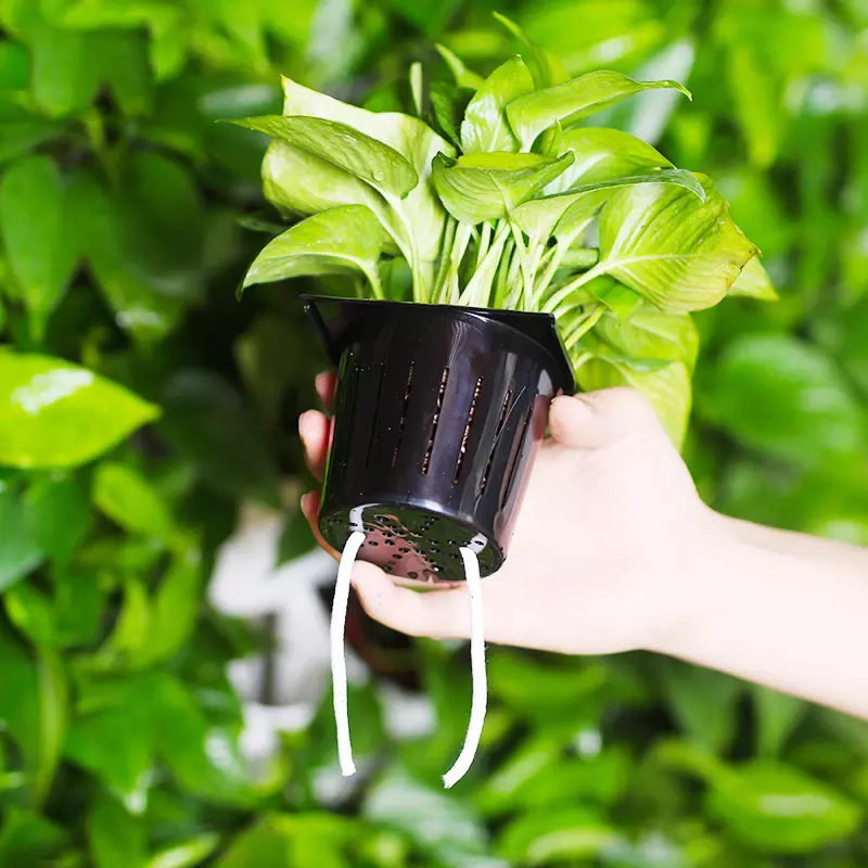 수경재배 실내 키트 2제곱미터 벽걸이형 수경재배 시스템 - Hydroponic Kit 리뷰 및 가격