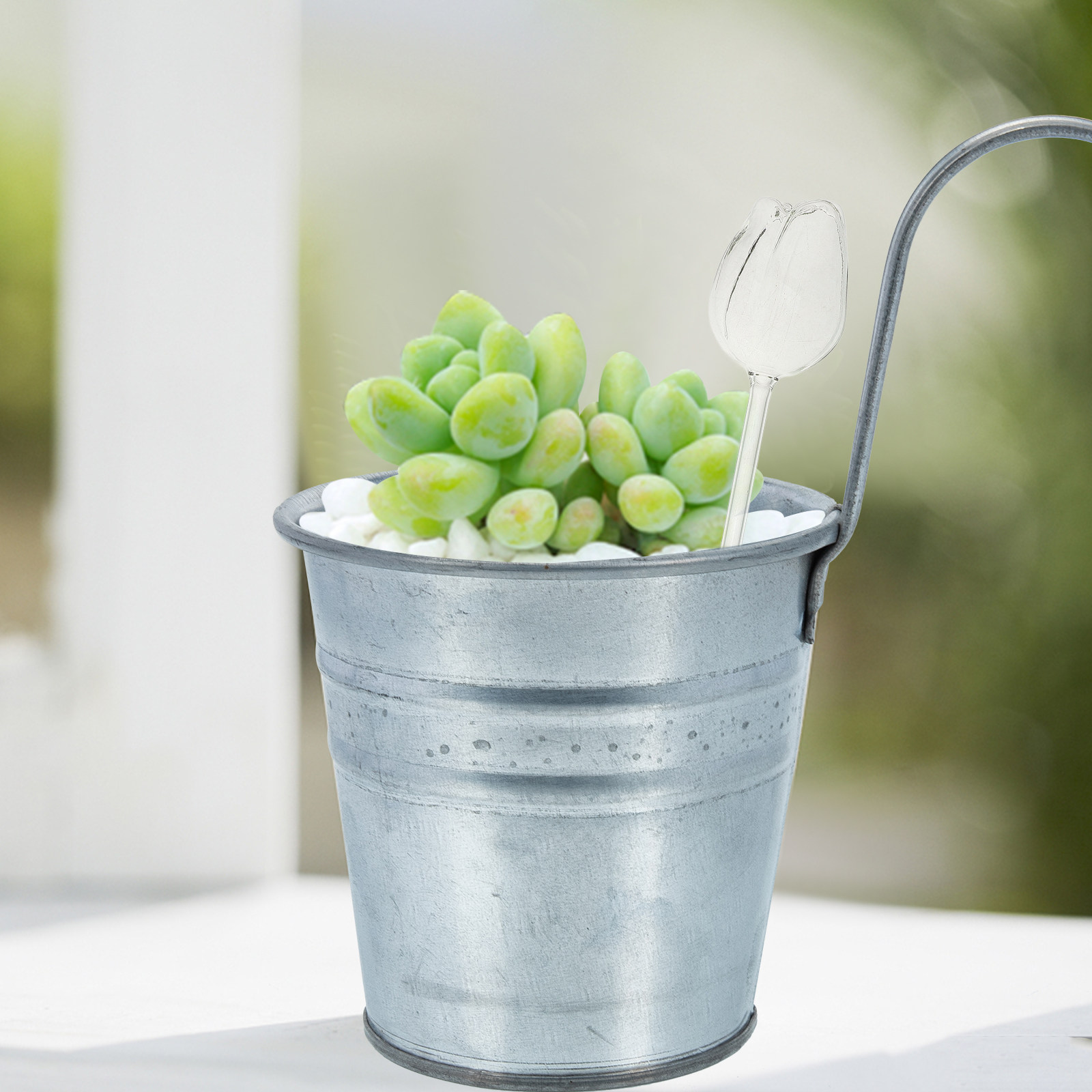 고급 붕규산 유리 재질의 자동 급수 화분용 구형 물통  - Self Watering Planter 리뷰 및 가격