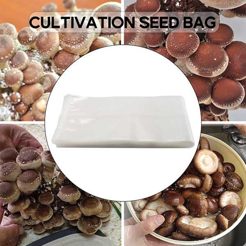 50개입 버섯 재배 백/버섯 배양 백/농장용 버섯 종균 - Grow Bag 리뷰 및 가격