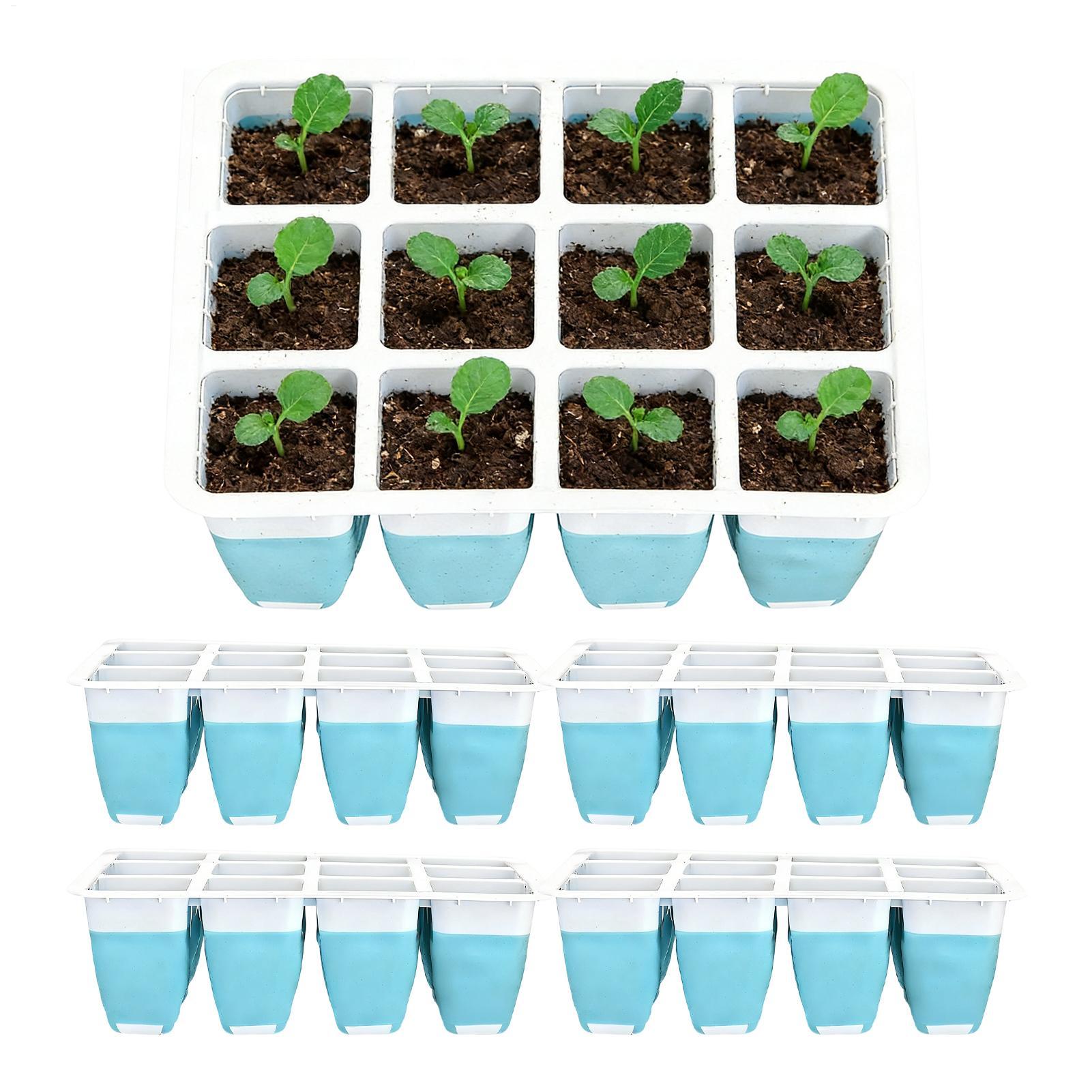 5팩 실리콘 묘목 트레이 60구 재사용 가능 묘목 발아 - Seed Starter Tray 리뷰 및 가격