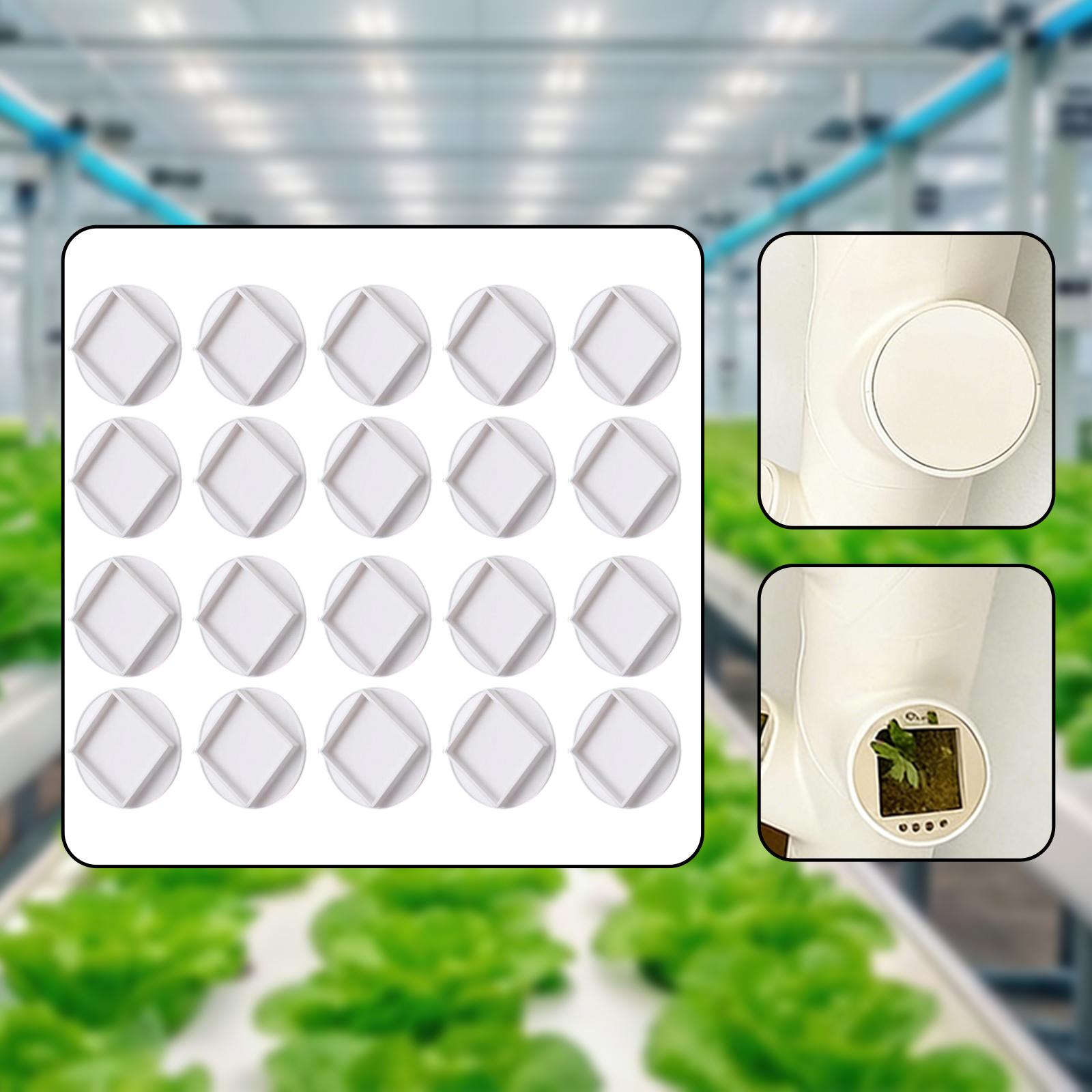 20개 식물 간격 조절 키트 재사용 가능한 원형 식물  - Hydroponic Kit 리뷰 및 가격