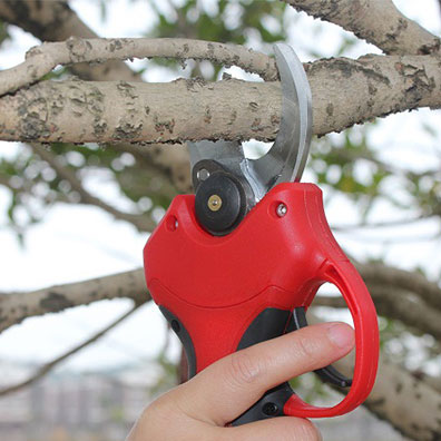 25-40mm 절단 가능한 과수원/포도원/정원 작업용  - Pruning Shears 리뷰 및 가격