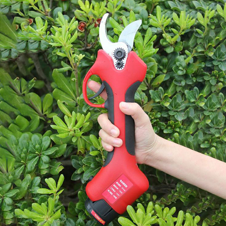 25-40mm 절단 가능한 과수원/포도원/정원 작업용  - Pruning Shears 리뷰 및 가격