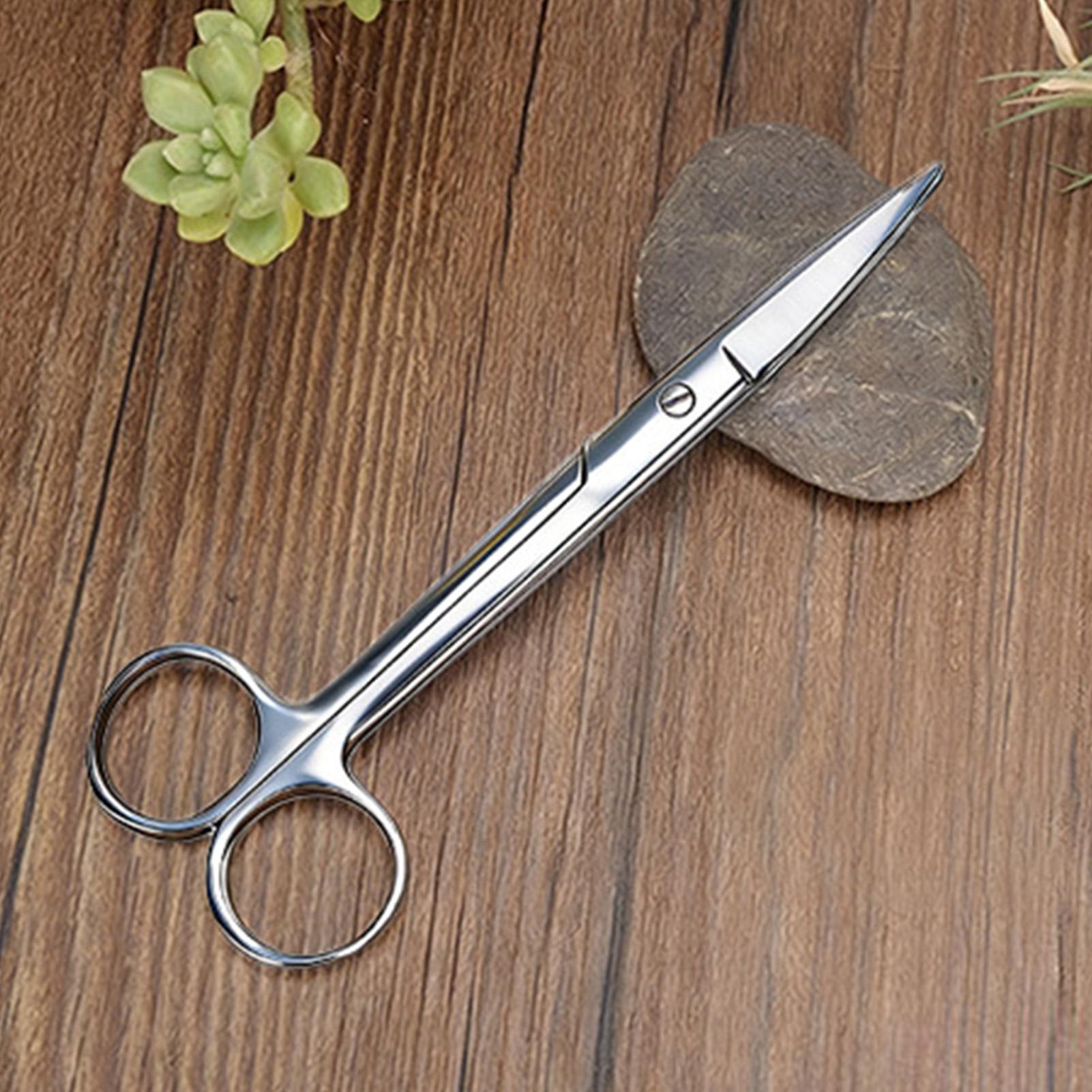 식물 가위 스테인리스 스틸 인체공학적 전정가위 실내 식 - Pruning Shears 리뷰 및 가격