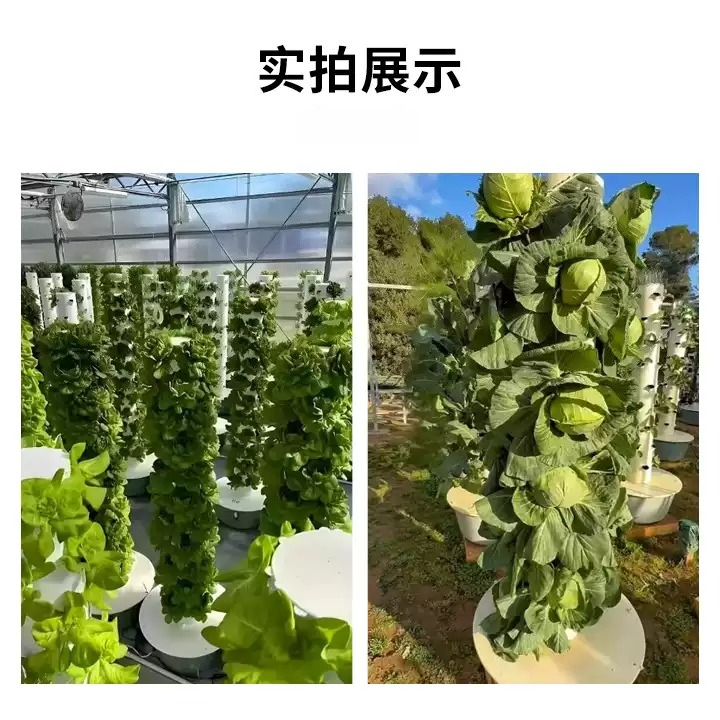 1개, 5단, 7단, 9단, 20개 구멍, 28개 구멍 - Vertical Planter 리뷰 및 가격
