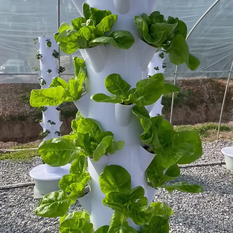 LED 식물 재배등을 갖춘 수직 수경 재배 타워, 지능 - Vertical Planter 리뷰 및 가격