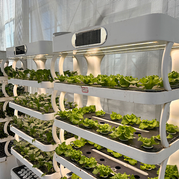 스마트 실내 정원용 화분 - LED 재배등이 장착된 스 - Grow Light Led 리뷰 및 가격